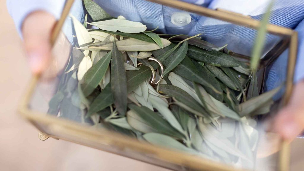 floraison.gr-gamos-athina-dimitris