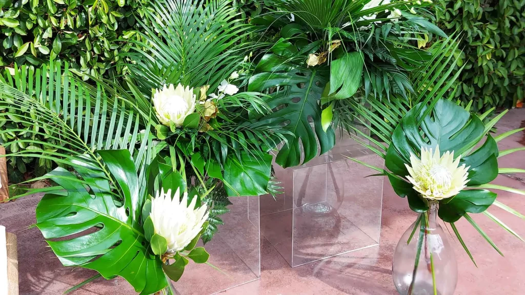 flroaison.gr-baptisi-tou-giorgou