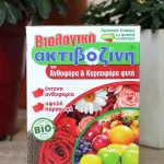 floraison_aktivozini_anthofora_a