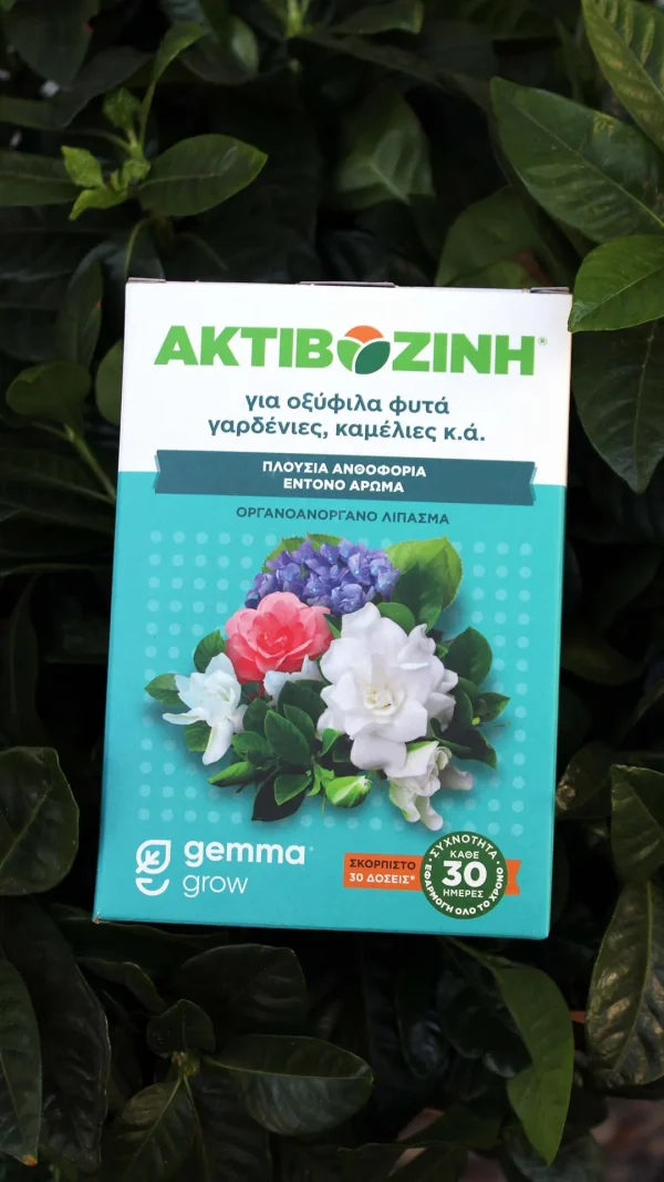 floraison_aktivozini_oksifila_a