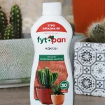 floraison_fytopan_kaktos_a