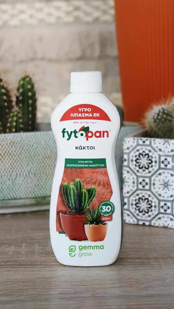 floraison_fytopan_kaktos_a