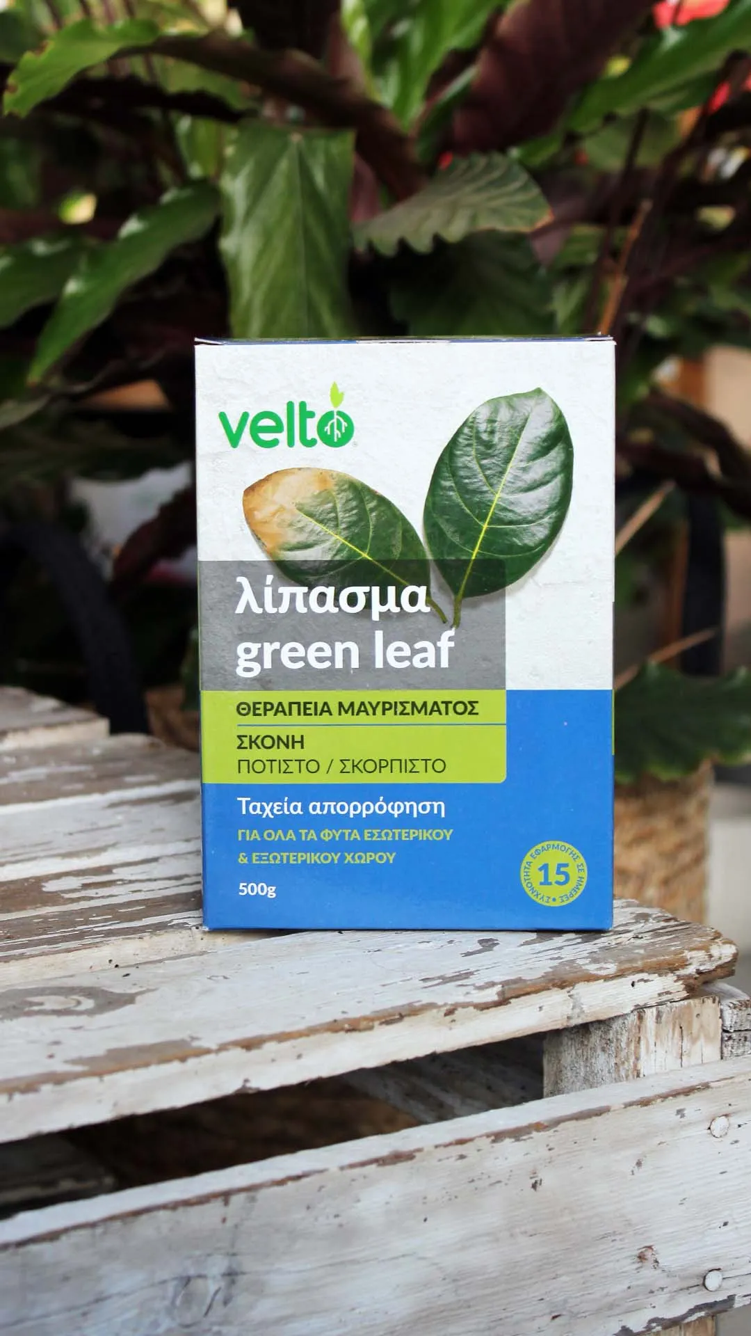 floraison_greenleaf_a floraison_greenleaf_a