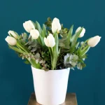 floraison_leukes_toulipes_se_kaspo_a