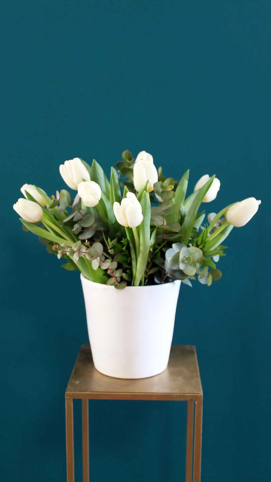 floraison_leukes_toulipes_se_kaspo_a floraison_leukes_toulipes_se_kaspo_a