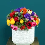 floraison_neragkoules_anemwnes_se_kaspo_a