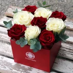 floraison_triantafilla_se_kokkino_kouti_new_a